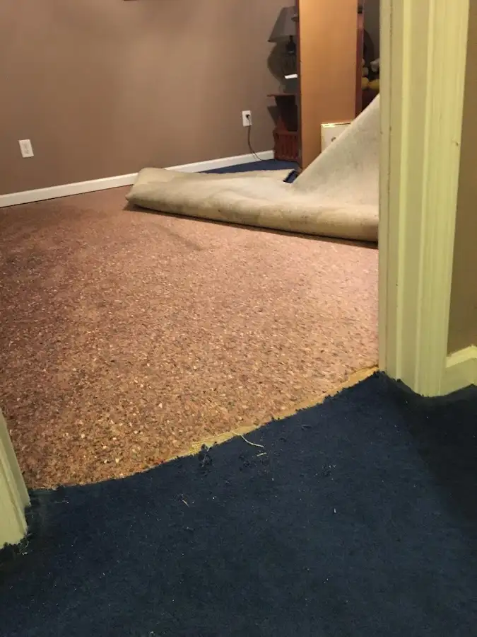 Carpet pad removal revealing water damage during Water Mitigation Services in Seaford
