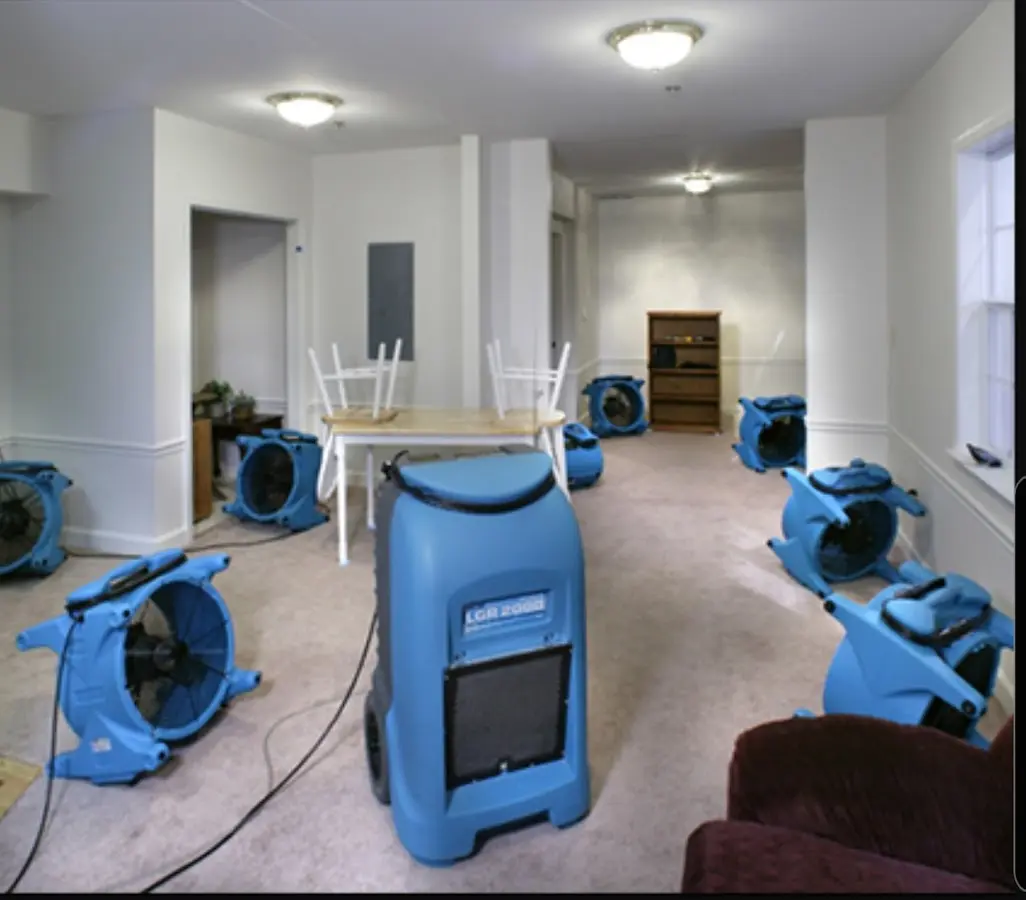 Air movers and dehumidifier setup for Water Extraction & Removal in Seaford